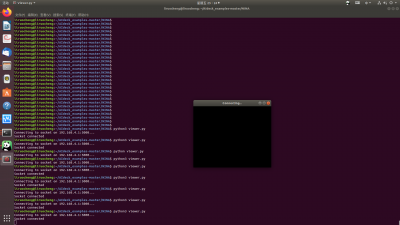 However, when I run python3 viewer.py, there is no image and always mentioned &quot;connecting&quot; ,but &quot;socket connnected&quot;