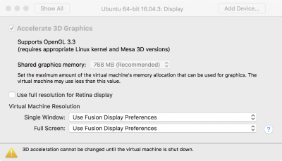 VMWare graphics settings.png